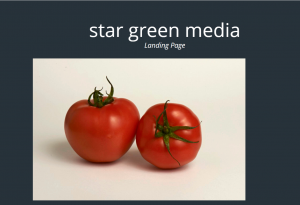 Landing page template